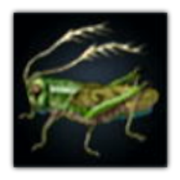 Stretching Locust Collectopedia