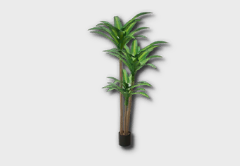 Medium Happy Plant