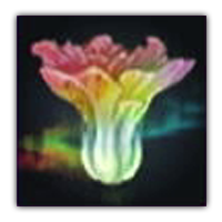 Fodornallow Greens Collectopedia