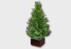 Holiday Tree