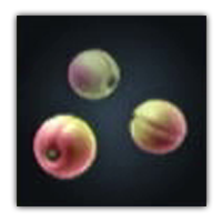 Sour Plum Collectopedia