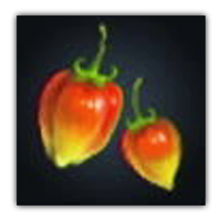 Socha Guava Collectopedia