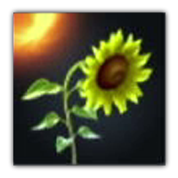 Timid Sunflower Collectopedia