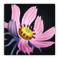 Sekka Cosmos Collectopedia