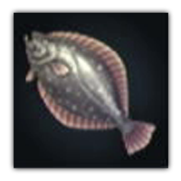 Morphling Flounder Collectopedia