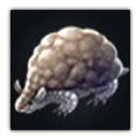 Rock Armadillo Collectopedia