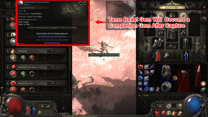 PoE 2 - Companion Gem