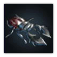 Kusakiri Stag Beetle Collectopedia