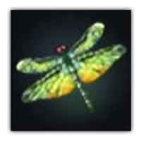 Noctilucent Dragonfly Collectopedia