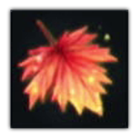 Katoan Leaf Collectopedia