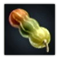 Beagflea Squash Collectopedia