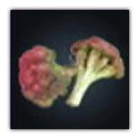 Dobobora Broccoli Collectopedia