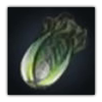 Gubura Cabbage Leaf Collectopedia