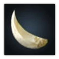 Shinuyuni Garlic Collectopedia