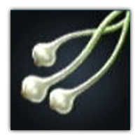 Gudo Rocambole Collectopedia