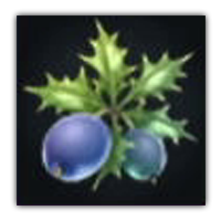 Kepha Holly Collectopedia