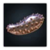 Sand Cucumber Collectopedia