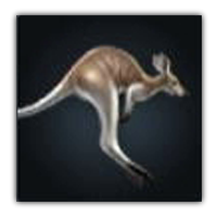 Doragaroo Collectopedia