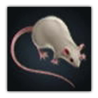 Denemozumi Mouse Collectopedia