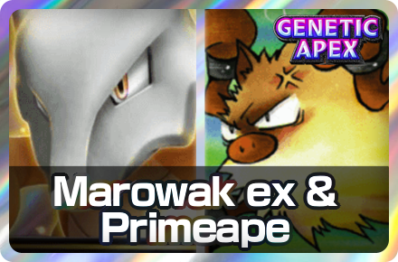 Marowak ex and Primeape Deck