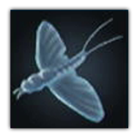 Shadow Fly Collectopedia