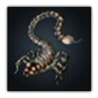 Whip Scorpion Collectopedia