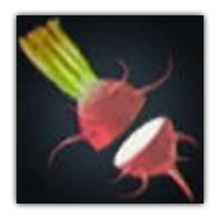 Ruge Daikon Collectopedia