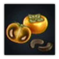 Shido Persimmon Collectopedia