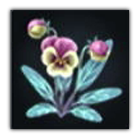 Exploding Pansy  Collectopedia