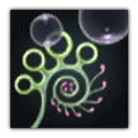 Sese Lily  Collectopedia