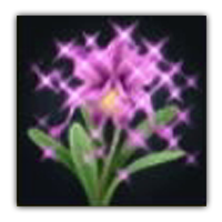 Shia Cattleya Collectopedia