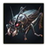 Rainy Cricket Collectopedia