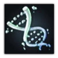 Double Helical Salt Collectopedia