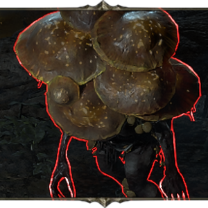 Fungal Proliferator Image