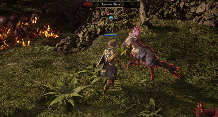 Bramble Rhoa Location