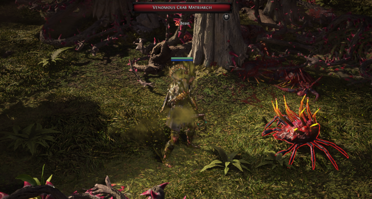 Venomous Crab Matriarch Location