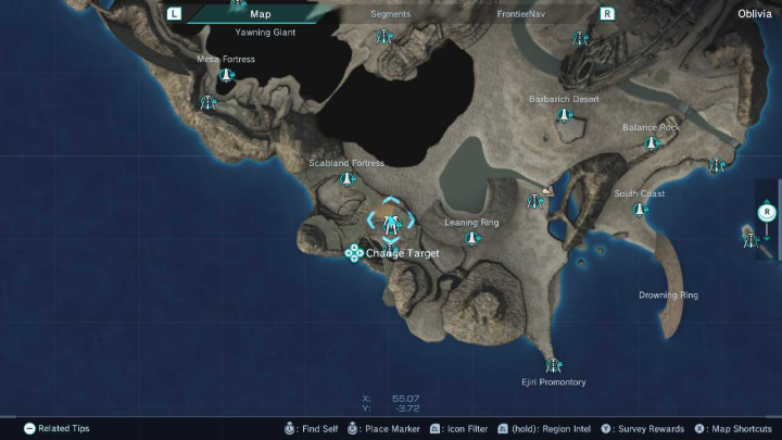 Duplicator Probe Near FN Site 307