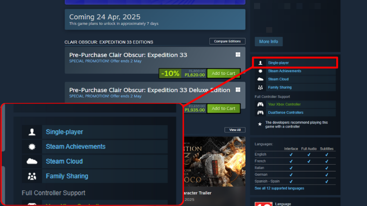 Clair Obscur Expedition 33 is Single Player