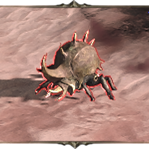 Tarnished Beetle Image