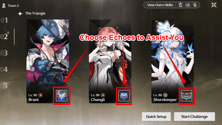 Assistant Echo Choice