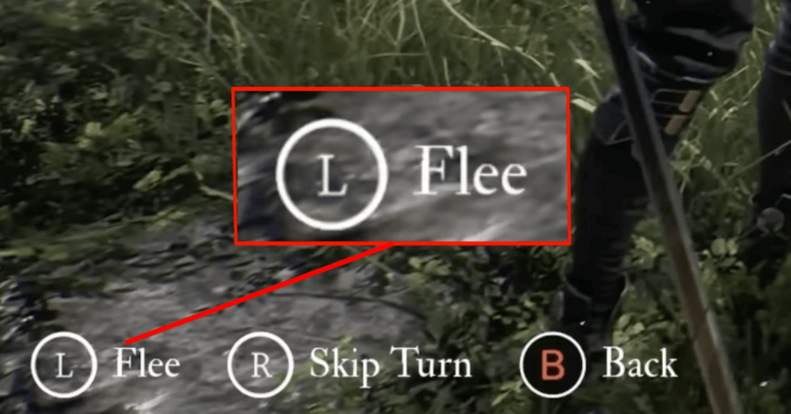 Flee Option Available
