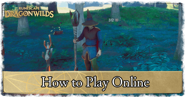 Runescape Dragonwilds - How to Play Online