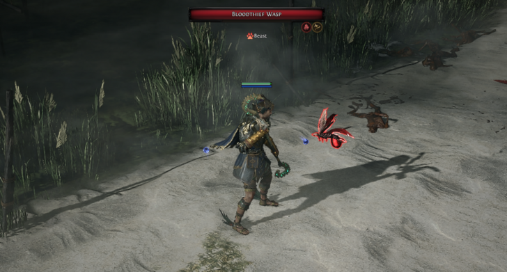 Bloodthief Wasp Location