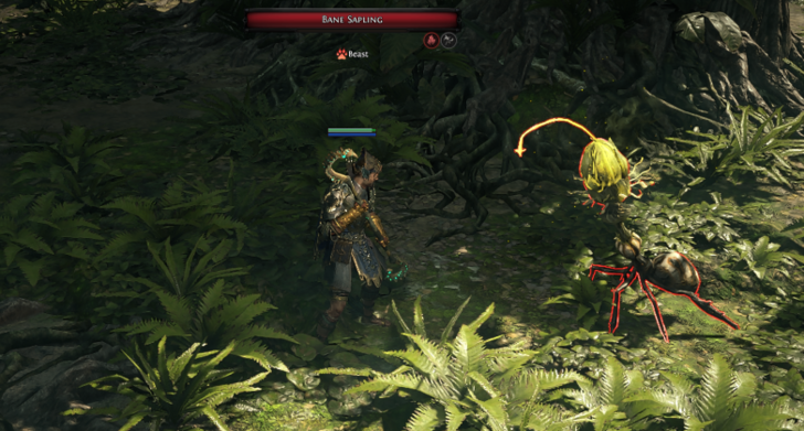 Bane Sapling Location