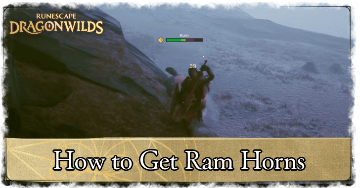 Ram Horns Banner