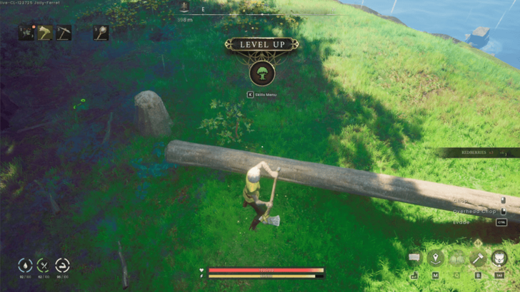 Level Up Woodcutting