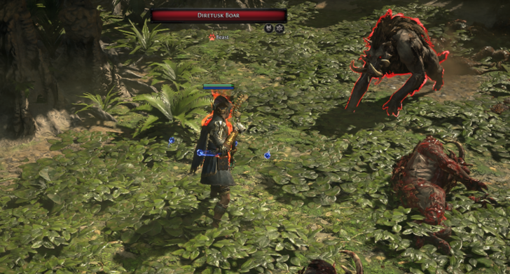 Diretusk Boar Location