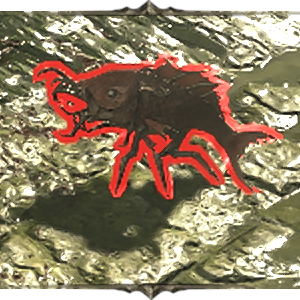 Chyme Skitterer Image