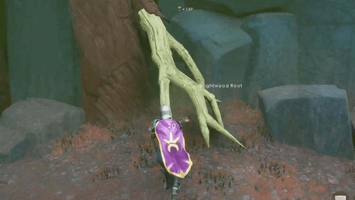 Runescape Blightwood