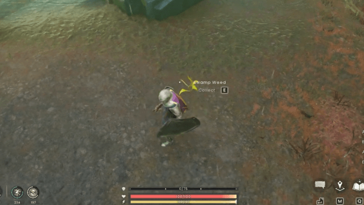 Runescape Swamp Wood